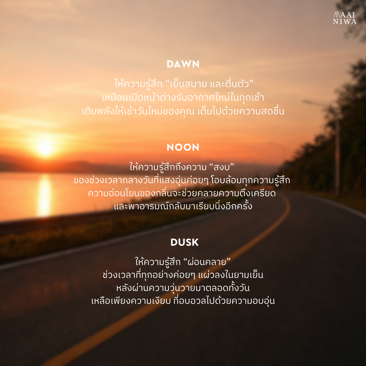 Car Diffuser 3 กลิ่น DAWN NOON DUSK ขนาด 8ml ใช้ได้นาน 30 วัน