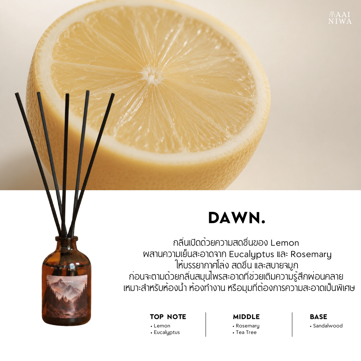 Reed Diffuser กลิ่น DAWN Lemon Eucalyptus Rosemary