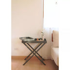 Tray Table